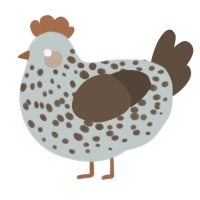 A silver and bark chicken with a speckle pattern