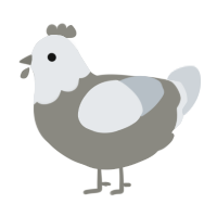 A ash and mist chicken with a head pattern
