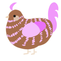 rose latte, a brown and lavender chicken with a bar pattern