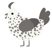 Diorite, a white and grey chicken with a speckle pattern