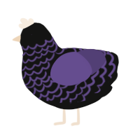 Deirdre, a black and overcast chicken with a lace pattern
