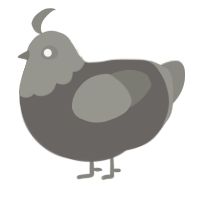 ashes, a grey and ash chicken with a head pattern