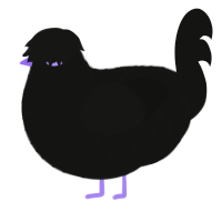 Stinky Animal, a black chicken with a lace pattern