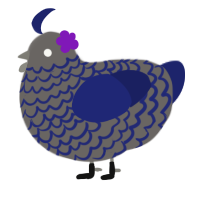 2time, a grey and navy chicken with a lace pattern