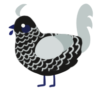 (unnamed), a sable and silver chicken with a lace pattern