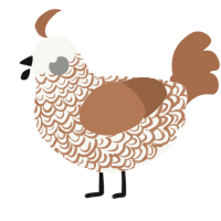 (unnamed), a white and brown chicken with a double-lace pattern