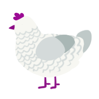 (unnamed), a white and silver chicken with a lace pattern