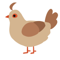 brown sugar, a beige and brown chicken