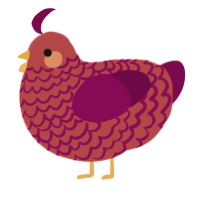 A red and wine chicken with a lace pattern