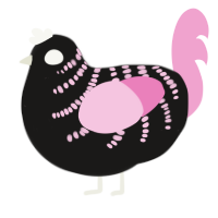 A sable and pink chicken with a half-bar pattern