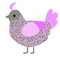 HEA, a ash and lavender chicken with a double-lace pattern