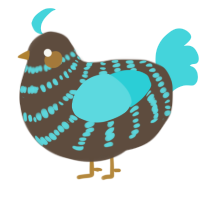 A bark and aqua chicken with a bar pattern