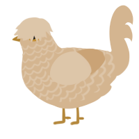 beige 3, a beige chicken with a lace pattern