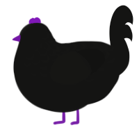 Space Void, a black chicken with a half-lace pattern