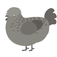 A ash and grey chicken with a half-lace pattern