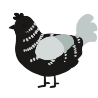 (unnamed), a sable and silver chicken with a half-bar pattern