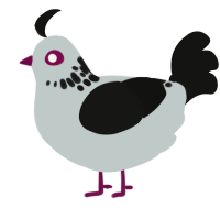 Ghost, a silver and black chicken with a neck-speckle pattern