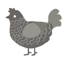 labradorite, a grey and ash chicken with a lace pattern