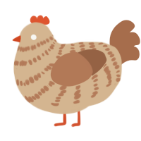 Bagel, a beige and brown chicken with a bar pattern