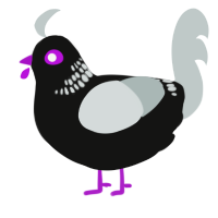 Ultra Rocky Road, a black and silver chicken with a neck-band pattern