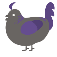Seattle, a grey and overcast chicken with a neck-band pattern