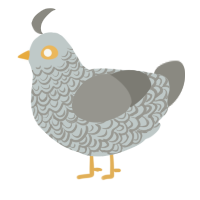Sir Galahad, a silver and ash chicken with a double-lace pattern