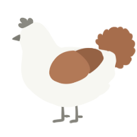 A white and brown chicken