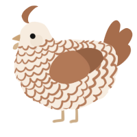 Tiramisu, a cream and brown chicken with a lace pattern