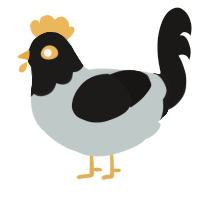A silver and sable chicken with a head pattern