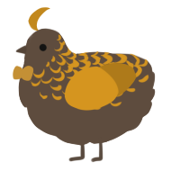 Peanut butter cup, a bark and ochre chicken with a half-lace pattern