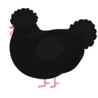 Coolio, a black and sable chicken with a neck-speckle pattern