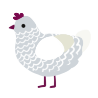 Runt Leghorn, a mist and white chicken with a lace pattern