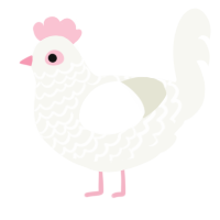 (unnamed), a white chicken with a lace pattern