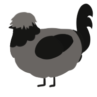 A grey and black chicken with a head pattern