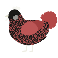 A sable and red chicken with a double-lace pattern