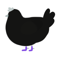 socks, a black chicken
