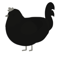 The Phantom Poulet, a black chicken with a head pattern