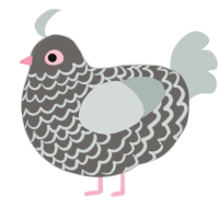 Floofy Pigeon, a grey and silver chicken with a lace pattern