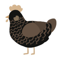 (unnamed), a black and bark chicken with a lace pattern