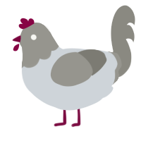 A mist and ash chicken with a head pattern