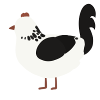 A white and sable chicken with a neck-speckle pattern