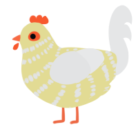 A navy and sable chicken with a bar pattern
