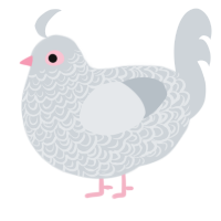 peabody, a mist chicken with a double-lace pattern