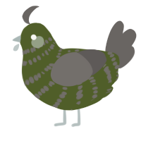 A olive and grey chicken with a bar pattern