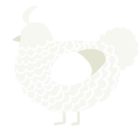 Snow, a white chicken with a lace pattern
