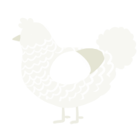 A white chicken with a lace pattern