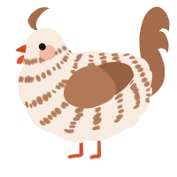 Sh1taki, a cream and brown chicken with a bar pattern