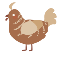 Cherry Chai, a brown and beige chicken with a half-bar pattern