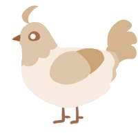 A cream and beige chicken with a head pattern