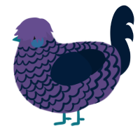 Racecar, a overcast and tumblr chicken with a lace pattern